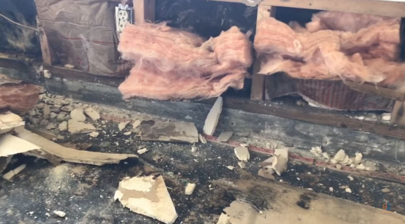 Mold Inspection and Remediation in Huntsville, AL